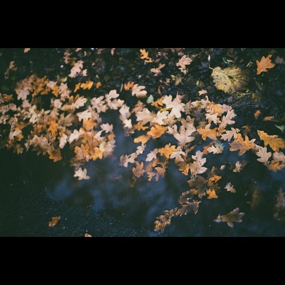 about. - Picture 3 of 3